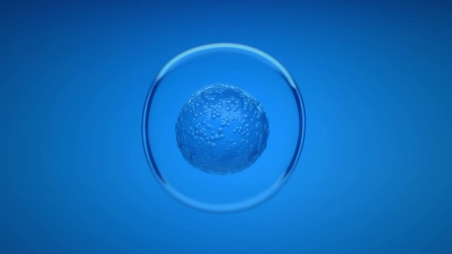 Floating healty cell in liquid. Laboratory research or experiment microscopic view on organic molecular structure. 4K Quality Closeup Animation concept