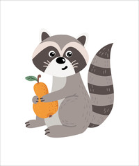 Cute isolated raccoon on a white background.
