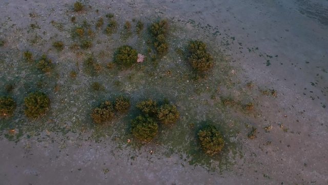 RAS AL KHAIMAH intelligence overview