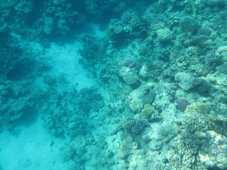 Egypt Sharm Al Sheikh