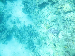 Egypt Sharm Al Sheikh