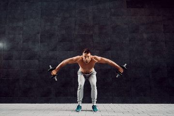 Full length of handsome fit muscular caucasian shirtless blonde bearded man bending forward and holding dumbbells while looking a camera.