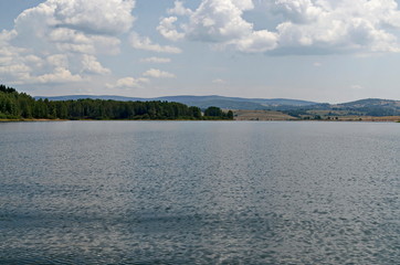 General view of the artificial Vlasina mountain lake surrounded by a pine tree forest in summer, Southeastern Serbia, Europe 