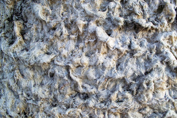  background texture gray cotton wool