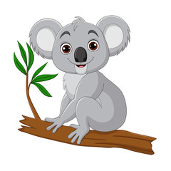 Cute koala cartoon sitting on a tree branch © tigatelu