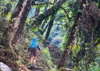 Photo sur Plexiglas Kangchenjunga Hike in Nepal jungle