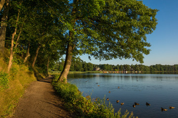 Path near Olecko Wielkie lake in Olecko, Masuria, Poland