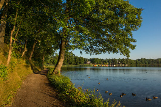 Path near Olecko Wielkie lake in Olecko, Masuria, Poland