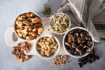 Selection of sprouted legumes - beans, chickpea, mung, rustic background