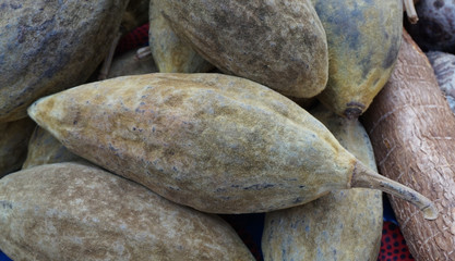 fresh baobab fruit