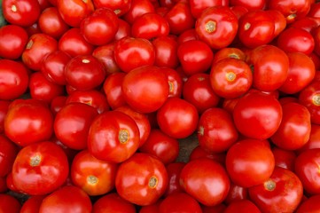 Tomatoes background, texture. Ripe red round gourmet tomatoes