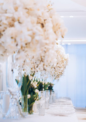 formal luxury elegant wedding decor restaurant tables served white tablecloth, plates, menus, glasses, tulips in vases, orchids, candles silver chairs, blue background