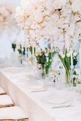 formal luxury elegant wedding decor restaurant tables served white tablecloth, plates, menus, glasses, tulips in vases, orchids, candles silver chairs, blue background