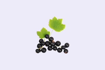 A sprig of black currant with leaves isolated on a white background. Top view. Close-up.