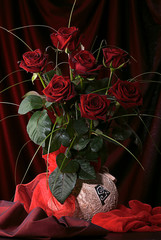 Bouquet of beautiful red roses on a dark red background