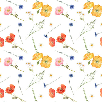 Beautiful floral summer seamless pattern with watercolor hand drawn field wild flowers. Stock illustration.