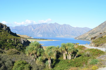 Fototapeta na wymiar Nouvelle-Zélande