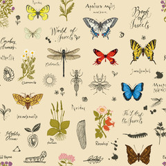 Vector background with Colorful butterflies, beetles, various herbs, sketches and inscriptions. Seamless pattern with insects and medicinal herbs in retro style. Wallpaper, wrapping paper, fabric