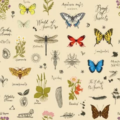 Foto op Plexiglas Vector background with Colorful butterflies, beetles, various herbs, sketches and inscriptions. Seamless pattern with insects and medicinal herbs in retro style. Wallpaper, wrapping paper, fabric © paseven