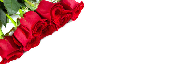 Beautiful red roses flower angle isolated on white background. Flower border with copy space. 8 march, 14 february, st valentine day and women's day concept.
