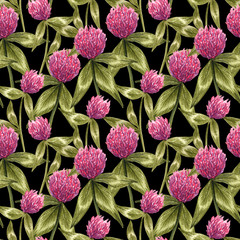 Panele Szklane  Watercolor pink  clover seamless pattern. Botanical hand drawn illustration of wild flower and leaves on black background. Honey medow field.