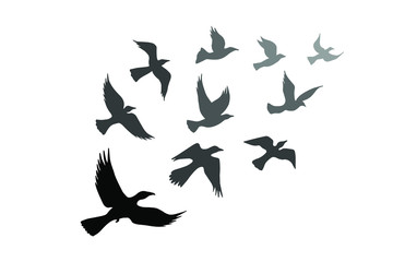 birds are flying, flock. eps10 vector stock illustration. 