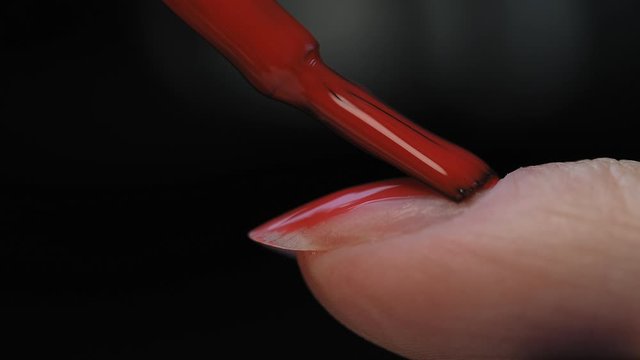 Manicure nail paint. Master applies gel polish on nails  in manicure salon. Nail polish.