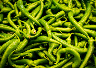 Green pepper Fresh and delicious organic fruits and vegetables