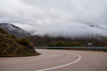 Neblina