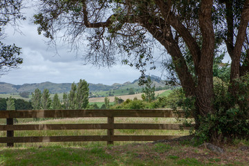 Wellsford New Zealand. Hills and wooden fence. Gate.