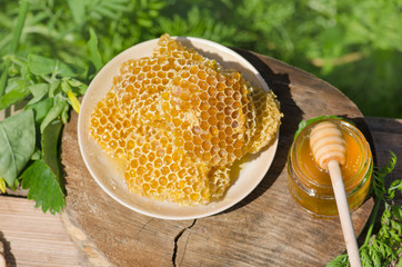 Fresh honeycombs on wooden background. Honey cell slice
