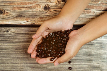 Hands carrying Dark roasted Arabica coffee beans