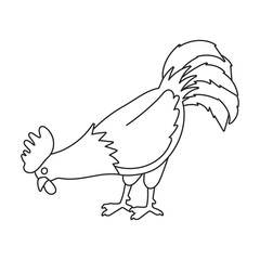 Cock of animal vector icon.Outline,line vector icon isolated on white background cock of animal.