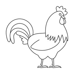 Cock of animal vector icon.Outline,line vector icon isolated on white background cock of animal.