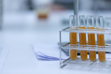 Biodiesel production is the process of producing the biofuel, biodiesel, in laboratory.