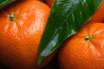 Fresh mandarines with leaves on wooden background. Ripe picked tangerines (clementines). Citrus food