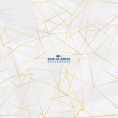 Obraz premium Abstract white polygonal geometric design artwork with golden line pattern background. illustration vector eps10