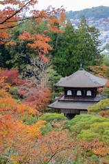 Beautiful fall colors in Ginkaku-ji Silver Pavilion during the autumn season in Kyoto