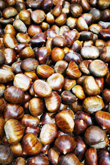 edible chestnuts texture