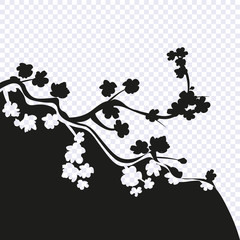 Sakura black-white drawing stylized on a transparent background. Cherry branches with flowers. illustration