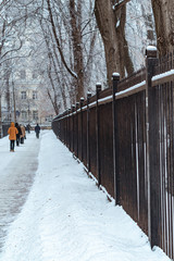 Fomin Botanical Garden after snow storm in Kyiv, Ukraine on January 28, 2019. 