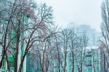 Hilton Hotel from Fomin Botanical Garden in Kyiv, Ukraine on January 28, 2019. 