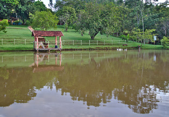 Obraz premium GOIANIRA, BRAZIL - JANUARY 18, 2020: Brazilian people have a zen moment at bucolic farm hotel on January, 2020, Goianira, Brazil.