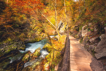 Tourist route on the wooden flooring in the famous Vintgar gorge (soteska Vintgar) or Bled Gorge (Blejski vintgar) in Slovenia. Amazing autumn landscape with scenic canyon, outdoor travel background