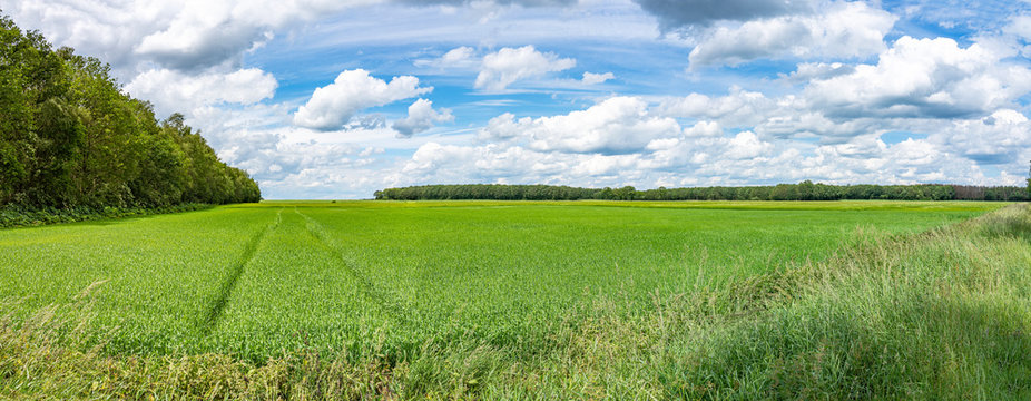Panorama picture of the beautiful landscape with beautiful clouds around Borger, Netherlands © Emma