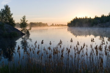 Foggy morning