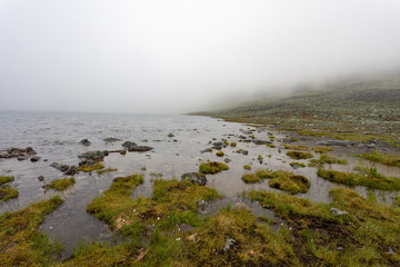 Fototapeta na wymiar Mountain lake with clear water. Foggy day