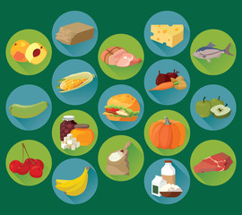 Fruits, vegetables, fats, meat, cereals, dairy products