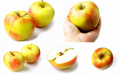Fresh apple on a white background. Apple variety - Champion.