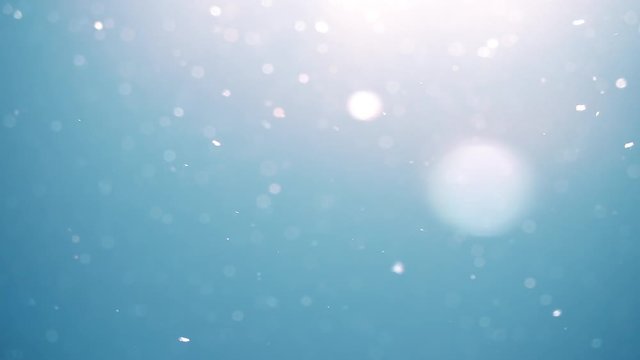 Pollen and dust flying in the air like snowflakes against light blue sky background. Super slow motion shot. Natural light and texture.